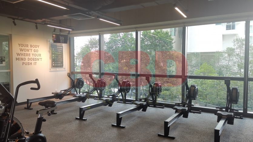 Imazium - Gym