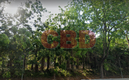 Cyberjaya Development Land