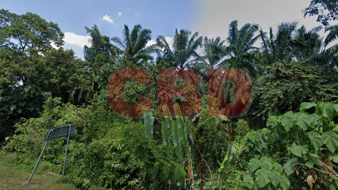 video image